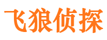 温江市调查公司